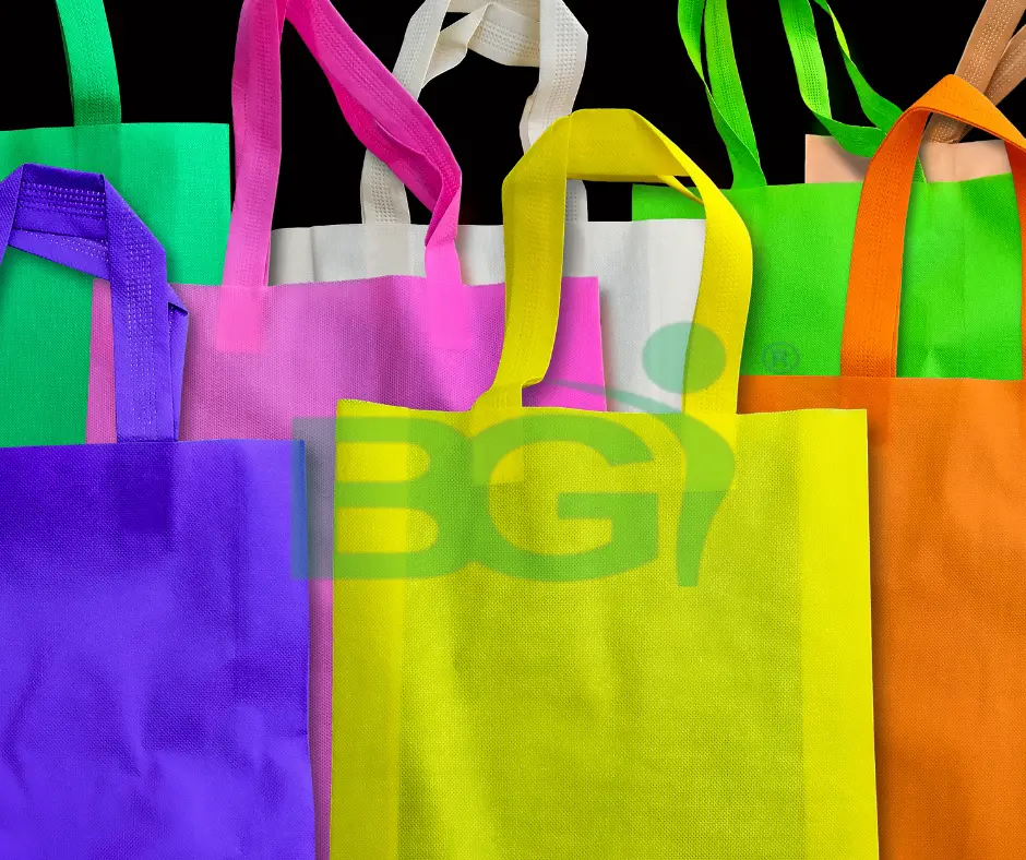 Best Non Woven Bag Manufacturer in Delhi